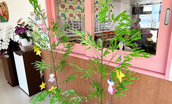 6月